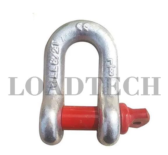 dshackle.jpeg-1